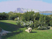 Logo di PROGETTO VERDE