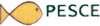 PESCE srl