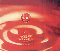 Logo di UNTERHOLZNER WOLFGANG