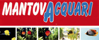Logo di MANTOVACQUARI