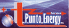 PUNTO ENERGY SERVICE