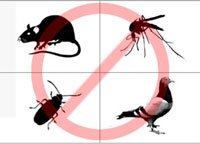 Logo di SG DISINFESTAZIONI srl