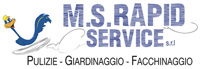 Logo di M.S. RAPID SERVICE srl