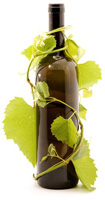 foto de CANTINE INTROVIGNE srl