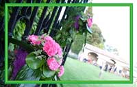 Logo di FIORI VERONA - GIARDINIERE LE CORTI