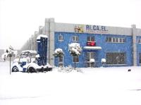 Logo di RI.CA.EL. - CARRELLI ELEVATORI VENDITA E RIPARAZIONE