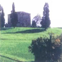 Logo di MAGIC VERDE