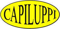 Logo di CAPILUPPI ENZO srl