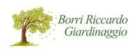 Logo di BORRI RICCARDO GIARDINAGGIO