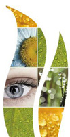 Logo di D.M. SERVICE