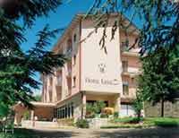 Logo di HOTEL LEVICO