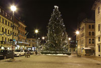 Logo di LUMINARIE PROGRAM srl