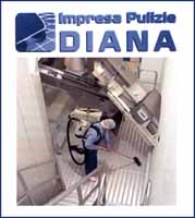 Logo di IMPRESA DI PULIZIA DIANA