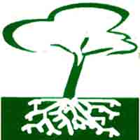 Logo di FLORICOLTURA ROSSATO PAOLO - MANUTENZIONE GIARDINI VIVAIO SERRE