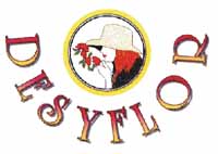 Logo di DESYFLOR