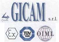 Logo di GICAM srl