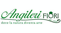 Logo di ANGILERI FIORI