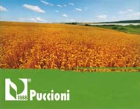 Logo di PUCCIONI spa