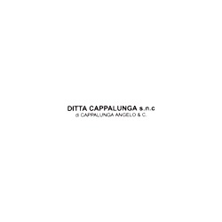 Logo di TORNERIA CAPPALUNGA SAS