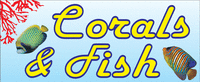 Logo di CORALS & FISH