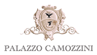 Logo di PALAZZO CAMOZZINI