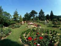 Logo di TOSCO GARDEN