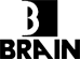 BRAIN INVESTIGAZIONI & VIGILANZA