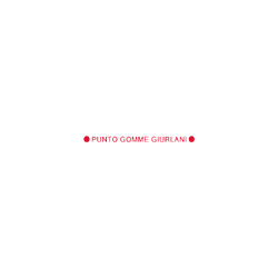 Logo di PUNTO GOMME GIURLANI