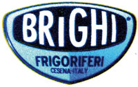 Logo di BRIGHI srl