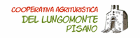 Logo Logo