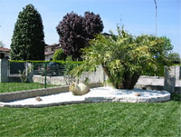 Logo di IMPRESA ONGARO CORRADO - L'ARTE DEL GIARDINO