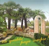 Logo di ROBERTO MOSOLE