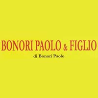 Logo di BONORI PAOLO