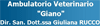 Logo di VETERINARIO AMBULATORIO GIANO DOTT.SSA GIULIANA RUCCO
