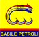 BASILE PETROLI spa