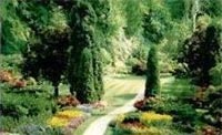 Logo di GIARDINAGGIO VIGNOZZI FRANCESCO