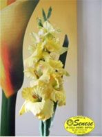 Logo di FIORI SENESE