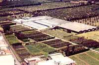 Logo di LAURA RYOLO AZIENDA AGRICOLA FLOROVIVAISTICA