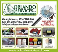 Logo di ORLANDO SERVICES srl