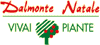 DALMONTE NATALE