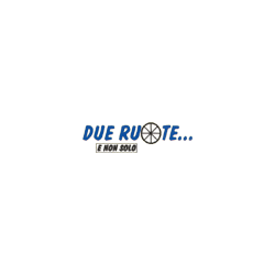 Logo di DUE RUOTE E NON SOLO