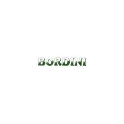 Logo di TAPPEZZERIA BORDINI