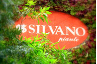 Logo di SILVANO PIANTE