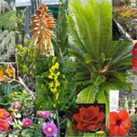 Logo di GARDEN CENTER
