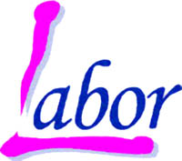 Logo di LABOR PACKING SERVICE