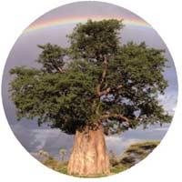 Logo di GE GARDEN
