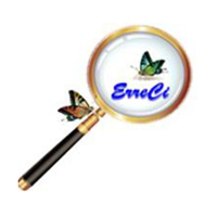 Logo di CARTOLERIA ERRECI