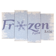 Logo di FROZEN FOOD - SURGELATI DI OGNI GENERE
