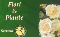 Logo di FIORI E PIANTE VALLY FLEURS