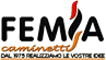 Logo di FEMIA CAMINETTI